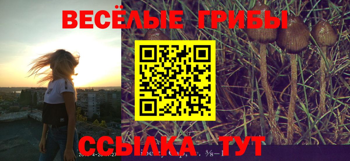 Златоуст  Псилоцибиновые грибы прущие грибы  Вход с VPN  как найти закладки  Псилоцибиновые грибы Psilocybe 